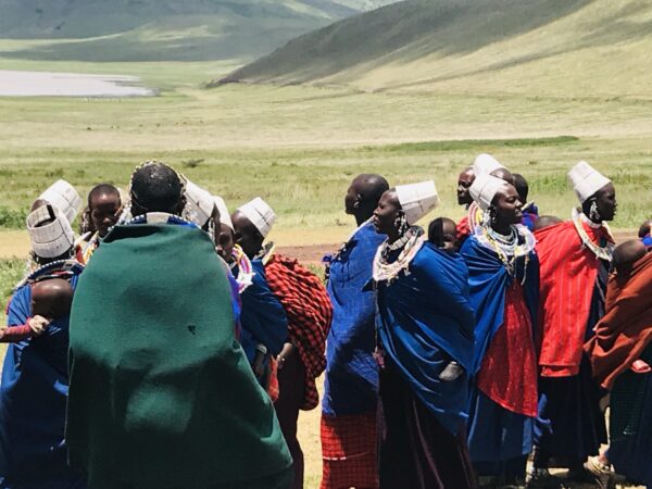 img_9695.jpg img_9695.jpg