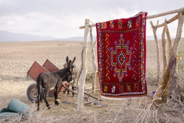 A724A869-CEE6-4D03-B7D7-CC49E26FE9CA_1_105_c