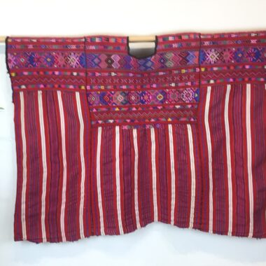 Guatemalan Huilpil 5