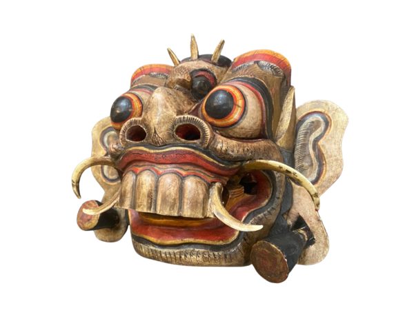 Sri Lanka masks for sale